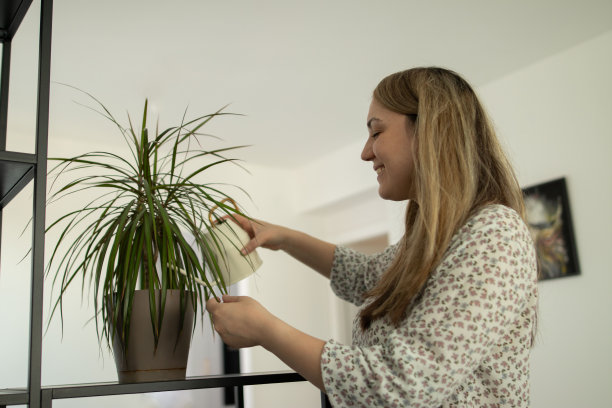 年轻美丽的女子在她的新家用水桶浇植物花穿着夏天的连衣裙，秋天的早晨一天的股票照片图片下载