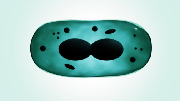 细胞分裂过程3d渲染图片下载