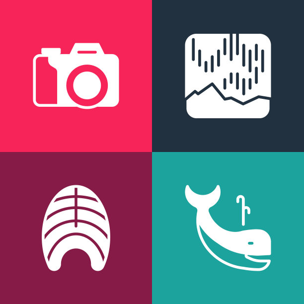 集波普艺术鲸鱼，鱼牛排，北极光和照片相机图标。向量图片下载