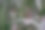绿叶上的一滴水特写图片下载