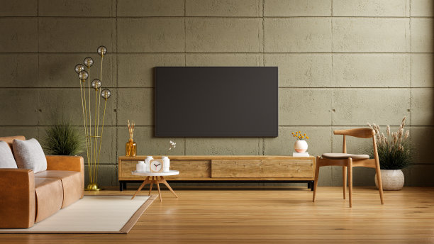 空荡荡的客厅，在混凝土墙的客厅里，有一面装着皮沙发的电视墙图片下载