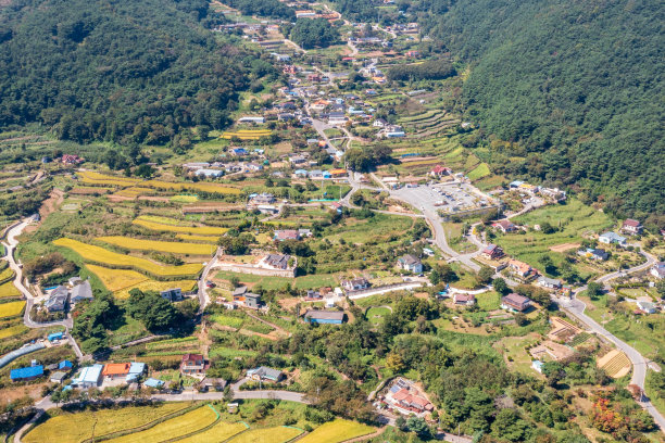 无人机拍摄的韩国农村黄色稻田的照片图片下载