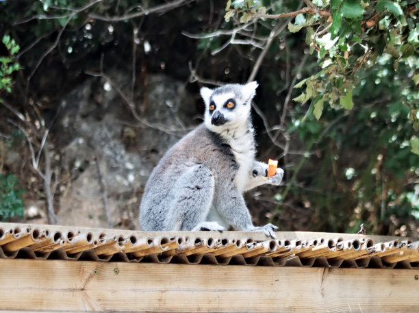 石化外观图片下载