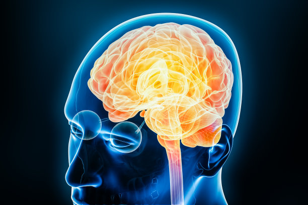 人体脑部神经活动或炎症的x线三维渲染插图。解剖学，神经疾病，头痛，智力，医学，心理学，神经科学，神经学概念。图片下载