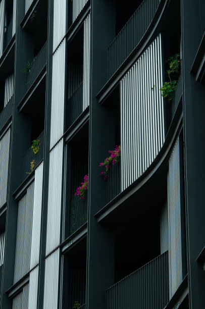 毕尔巴鄂之窗图片下载