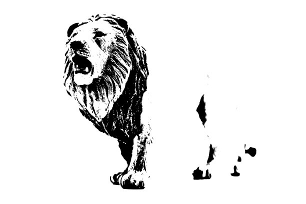 白色背景上雄狮的剪影图片下载