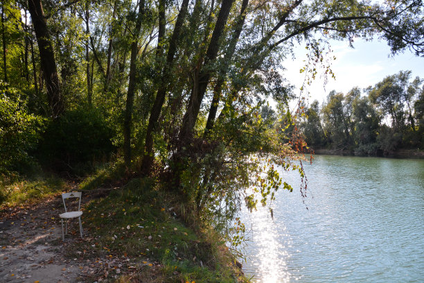 野生布伦塔河图片下载
