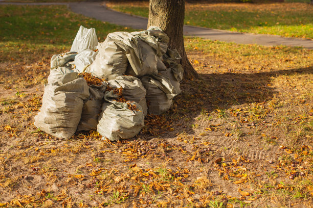 秋叶袋。10月图片下载