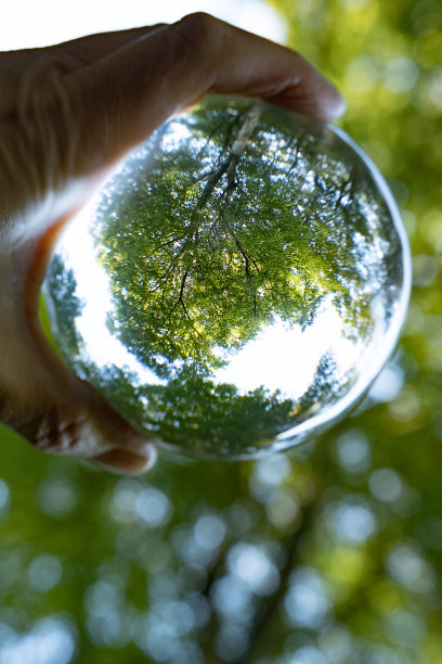 女人手里拿着一个玻璃球，反映出斯堪的纳维亚的森林、风景和球内外的自然。一个在大自然中有自然的房间。图片下载