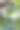 女人手里拿着一个玻璃球，反映出斯堪的纳维亚的森林、风景和球内外的自然。一个在大自然中有自然的房间。图片下载