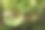 关注自然，玻璃球反映了斯堪的纳维亚的森林、景观和球内外的自然。一个在大自然中有自然的房间。图片下载
