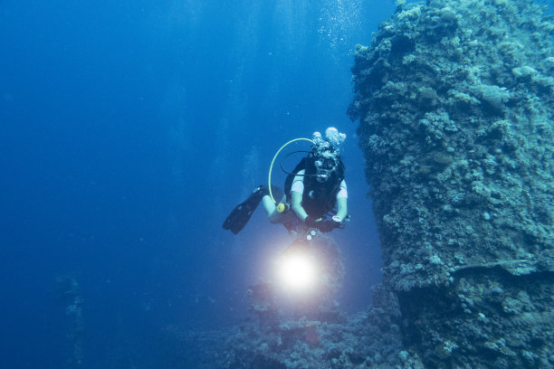 在沙特阿拉伯延布沉船上的水肺潜水员图片下载