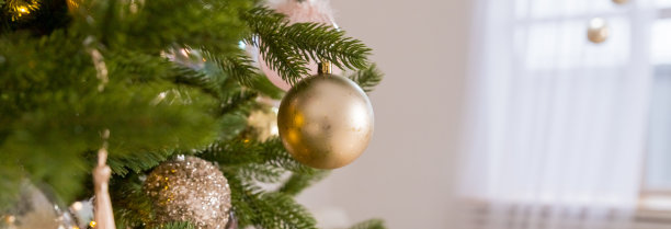 圣诞节、新年、冬天的边界。冷杉树枝上挂着金色的球和花环。圣诞假期。模型。寒假网页横幅。图片下载