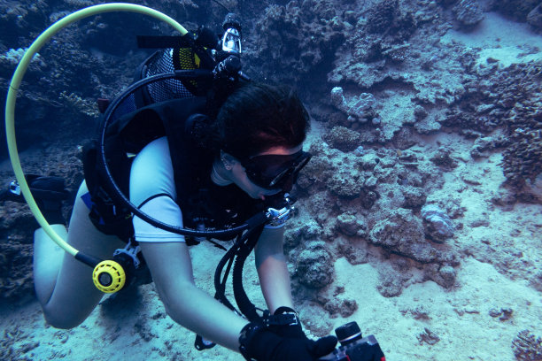 在沙特阿拉伯延布沉船上的水肺潜水员图片下载
