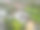 在这个著名的海滨小镇，无人机鸟瞰图显示的是一座新建的大型豪宅。图片下载