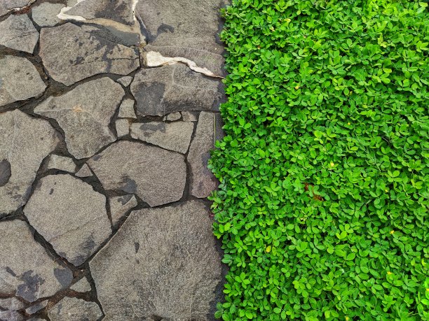 这张照片展示了精确而细致的纹理背景，以草和石头的组合为特色，创造了视觉上令人愉悦和平衡的构图。图片下载