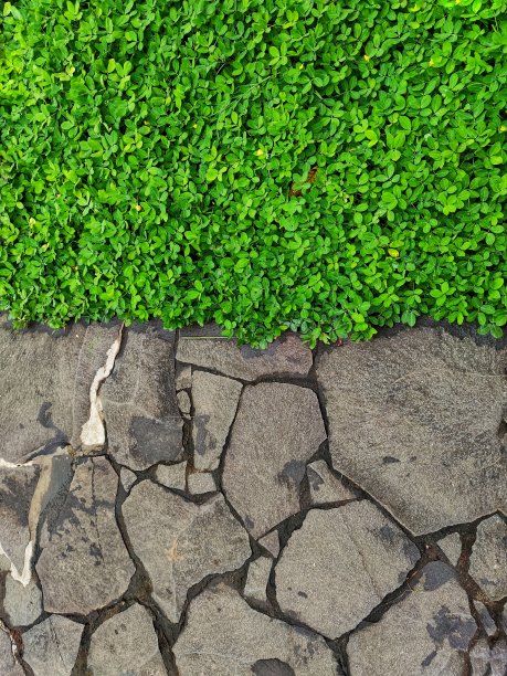 这张照片展示了精确而细致的纹理背景，以草和石头的组合为特色，创造了视觉上令人愉悦和平衡的构图。图片下载