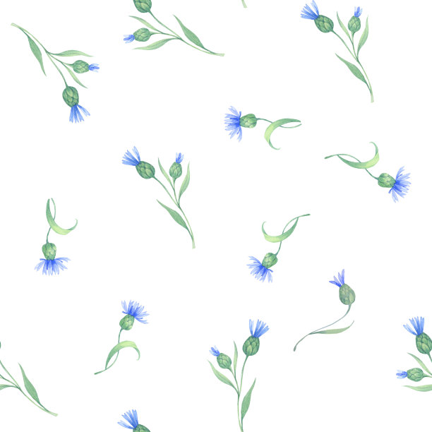 矢车菊。无缝水彩图案与蓝色的花朵。图片下载