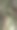森林中的竹子，大自然中的竹子特写图片下载