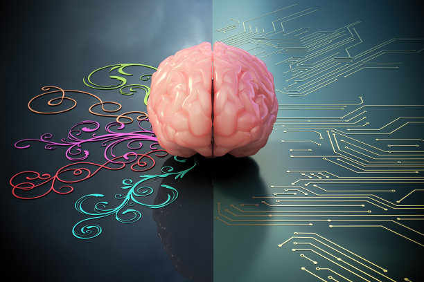 人脑，一边是pcb线，另一边是五颜六色的花卉图案图片下载