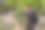 一个白人男人背着背包和水壶在山里走。侧视图照片图片下载