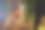 高兴的非洲裔深肤色男子与他的朋友和家人分享他孩子的照片和视频图片下载