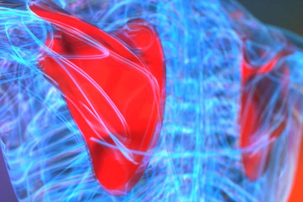 肩胛骨x光片图片下载