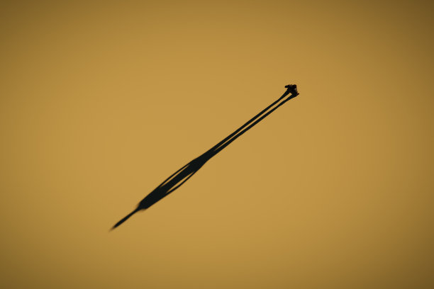 沙漠中的人图片下载