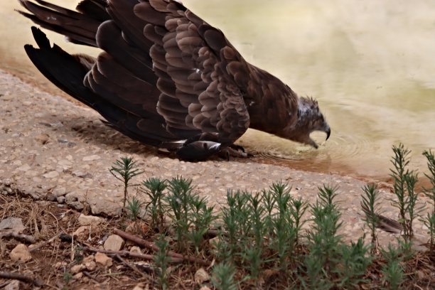 饮用水图片下载