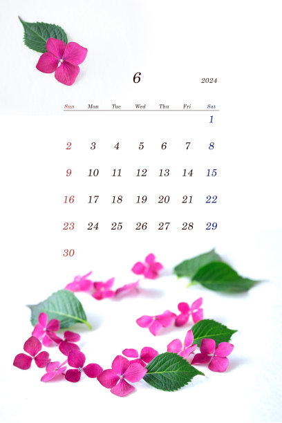 2024年农历六月，绣球花图案图片下载