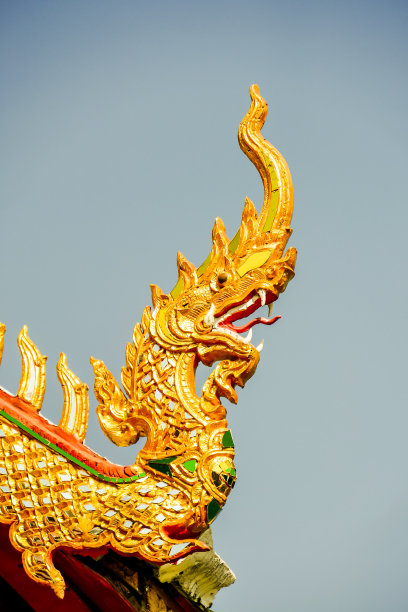 寺庙屋顶上的龙，数码照片图片作为背景图片下载