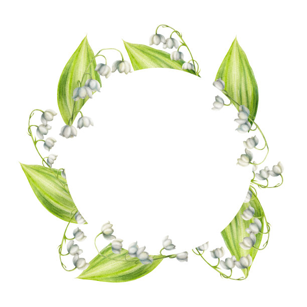 水彩框架和标志与花束百合的山谷花孤立的白色背景。春天手绘插画。适合设计师，婚礼，装饰，明信片，包装纸，剪贴簿，封面，邀请函，海报和纺织品图片下载