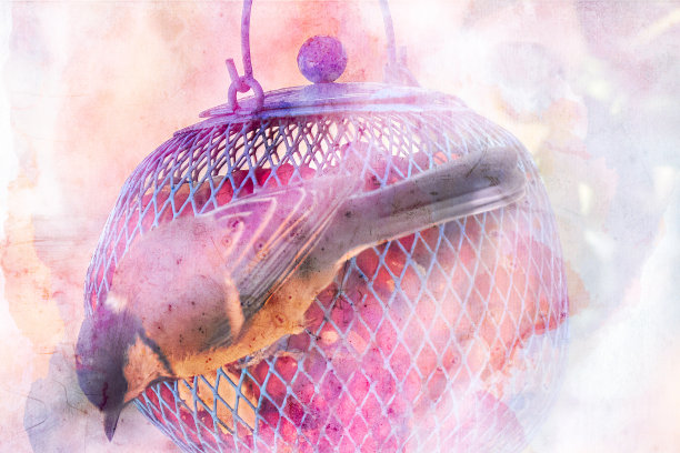 拼贴风格无缝图案设计。大丽花上手绘的鸟。时髦的背景与植物，几何形状，和抽象的元素。图片下载