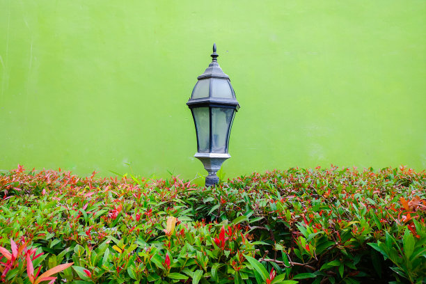 园灯中间绿色的植物叶子，以绿色的墙面为背景图片下载