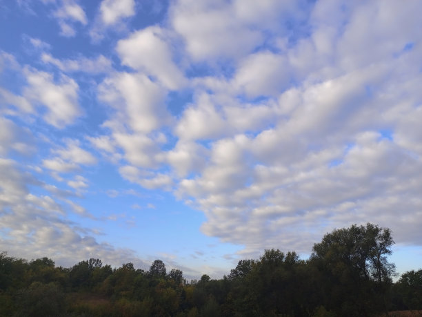 蓝天白云，地平线上树木的剪影。图片下载
