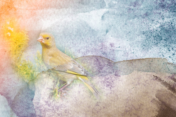 拼贴风格无缝图案设计。大丽花上手绘的鸟。时髦的背景与植物，几何形状，和抽象的元素。图片下载