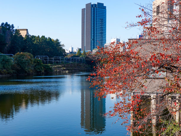江户城外护城河上阳光明媚的秋叶(东京千代田区市屋)图片下载