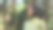 松林中戴头巾的穆斯林妇女特写。戴着黑色头巾的现代穆斯林妇女。图片下载