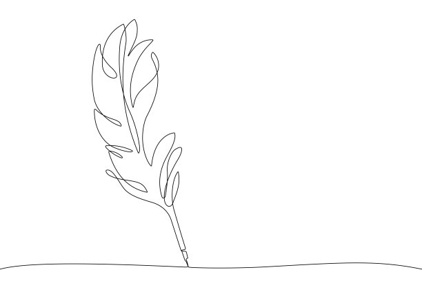 羽毛笔线条艺术股票插图图片下载