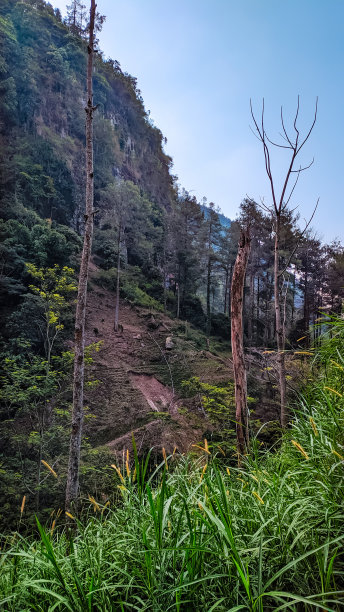 肖像视图围绕Kali Pancur瀑布区热带森林图片下载