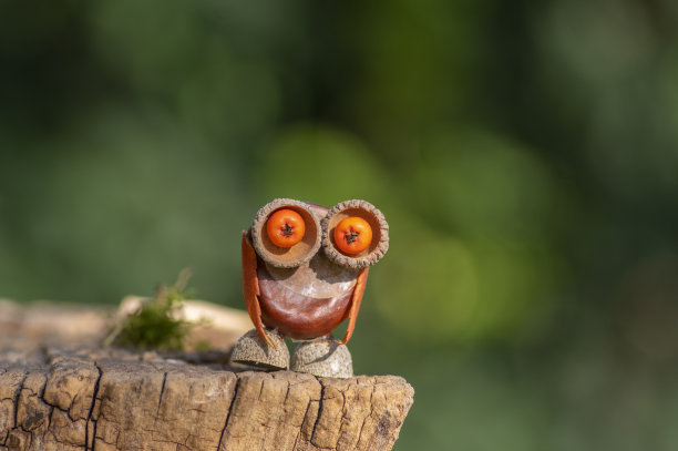 有趣的栗子猫头鹰鸟动物与可爱的脸在自然背景，传统的秋季手工与儿童图片下载