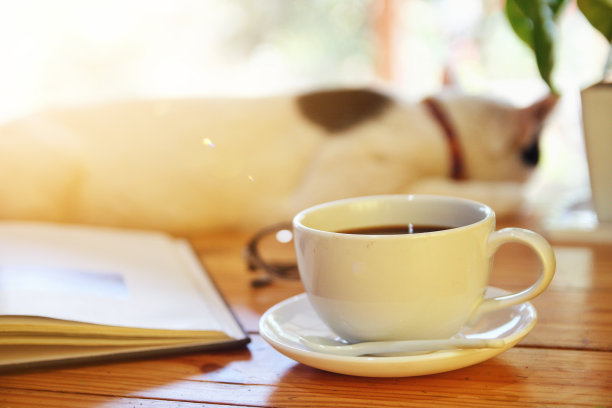 女人使用笔记本电脑，早上喝热咖啡杯图片下载