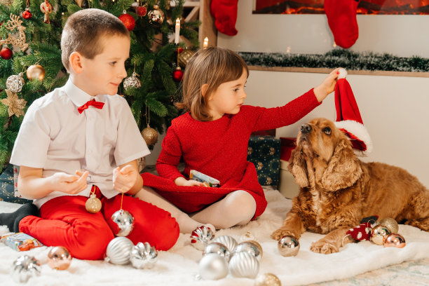 孩子们在圣诞树旁打开新年礼物。哥哥和妹妹和一只狗坐在圣诞树旁边，享受着礼物。圣诞图片，树和灯的背景。圣诞快乐，新年快乐。图片下载