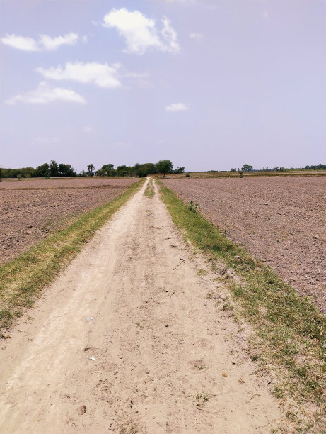 土路，地形崎岖，穿过农田，乡村公路，乡村公路，公路 查看camino de tierra图像estrada de terra图片库存照片图片下载