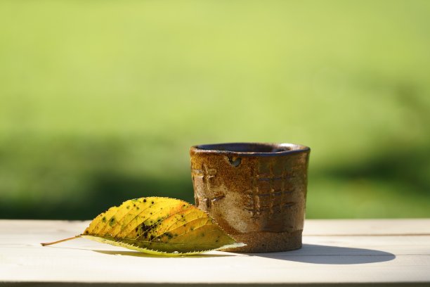 黄色的枯叶和自制的陶器图片下载