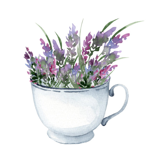 复古白色马克杯里的薰衣草香图片下载