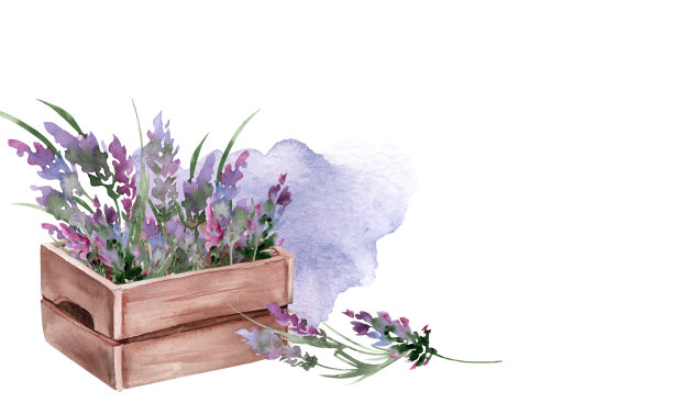 复古木盒里的薰衣草花束图片下载