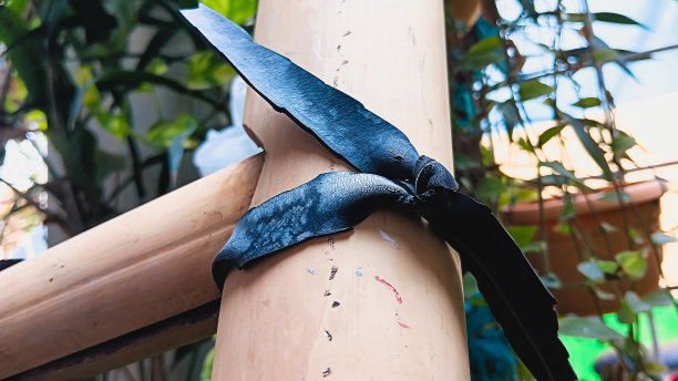 竹梯上的橡皮绳图片下载