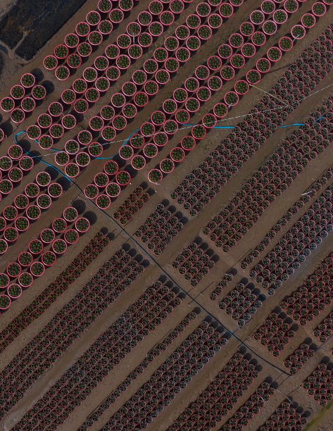 摘要航拍照片的花村种植春节假期，天江省图片下载