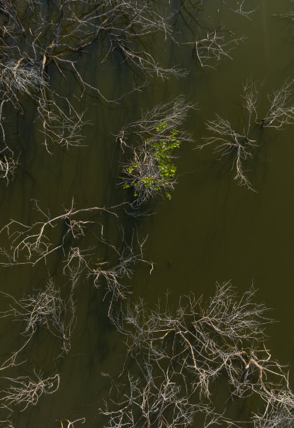 天江省Tan Thanh海滩红树林沼泽的航拍摘要照片图片下载